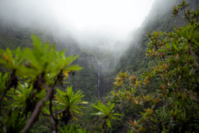 Levada das 25 Fontes