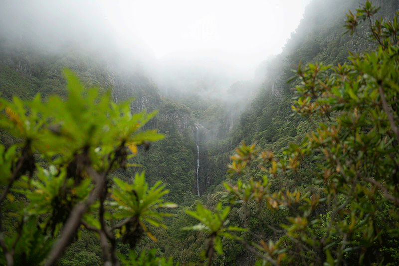Levada de las 25 fuentes